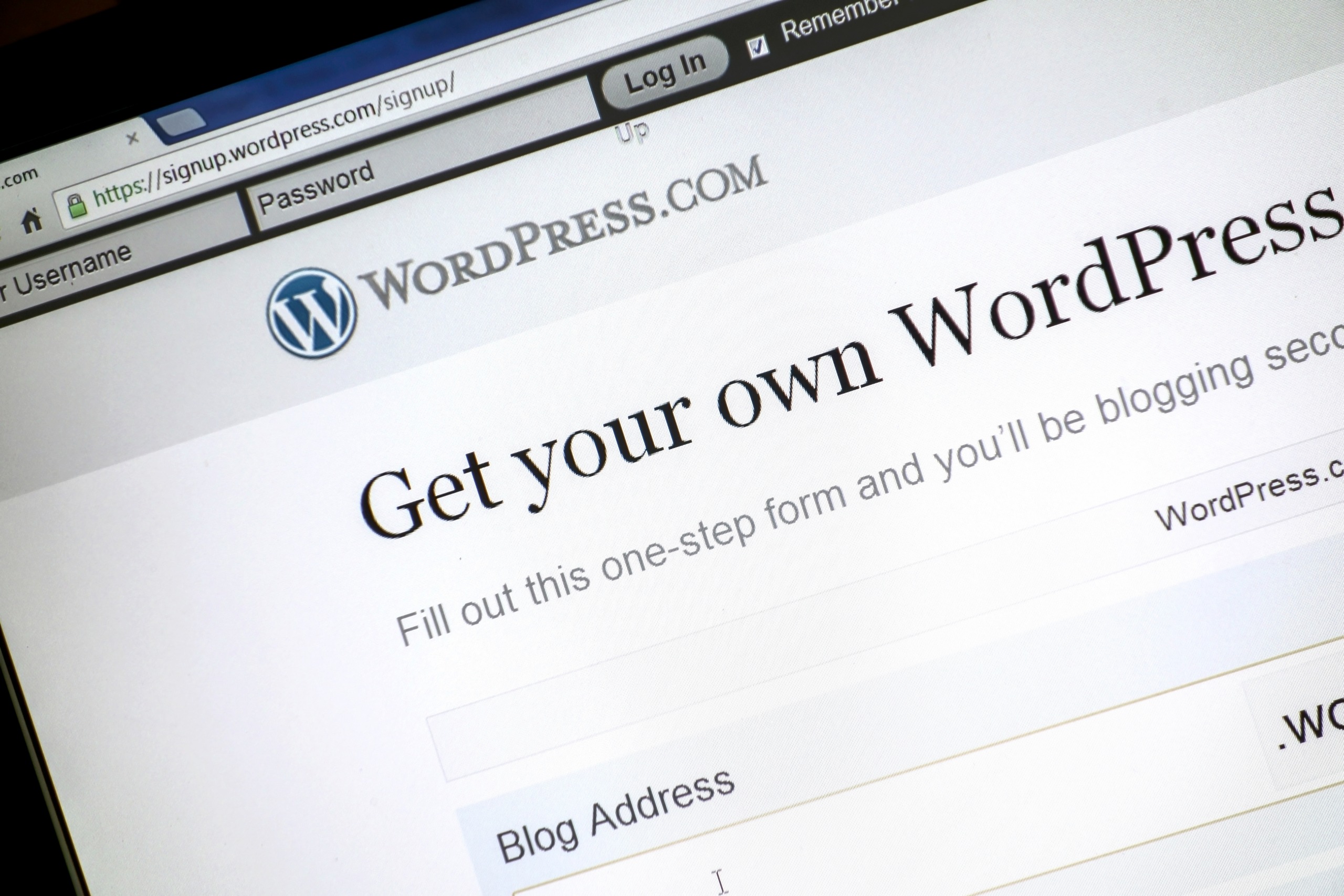 wordpress cms homepage